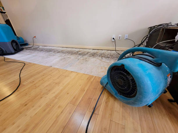 Professional Water Damage Repair technician working in Plymouth Meeting, PA